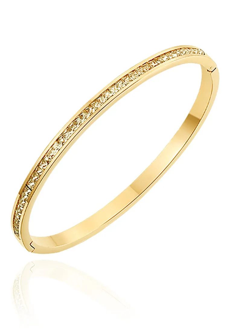 Arya Single Row Zirconia Bangle