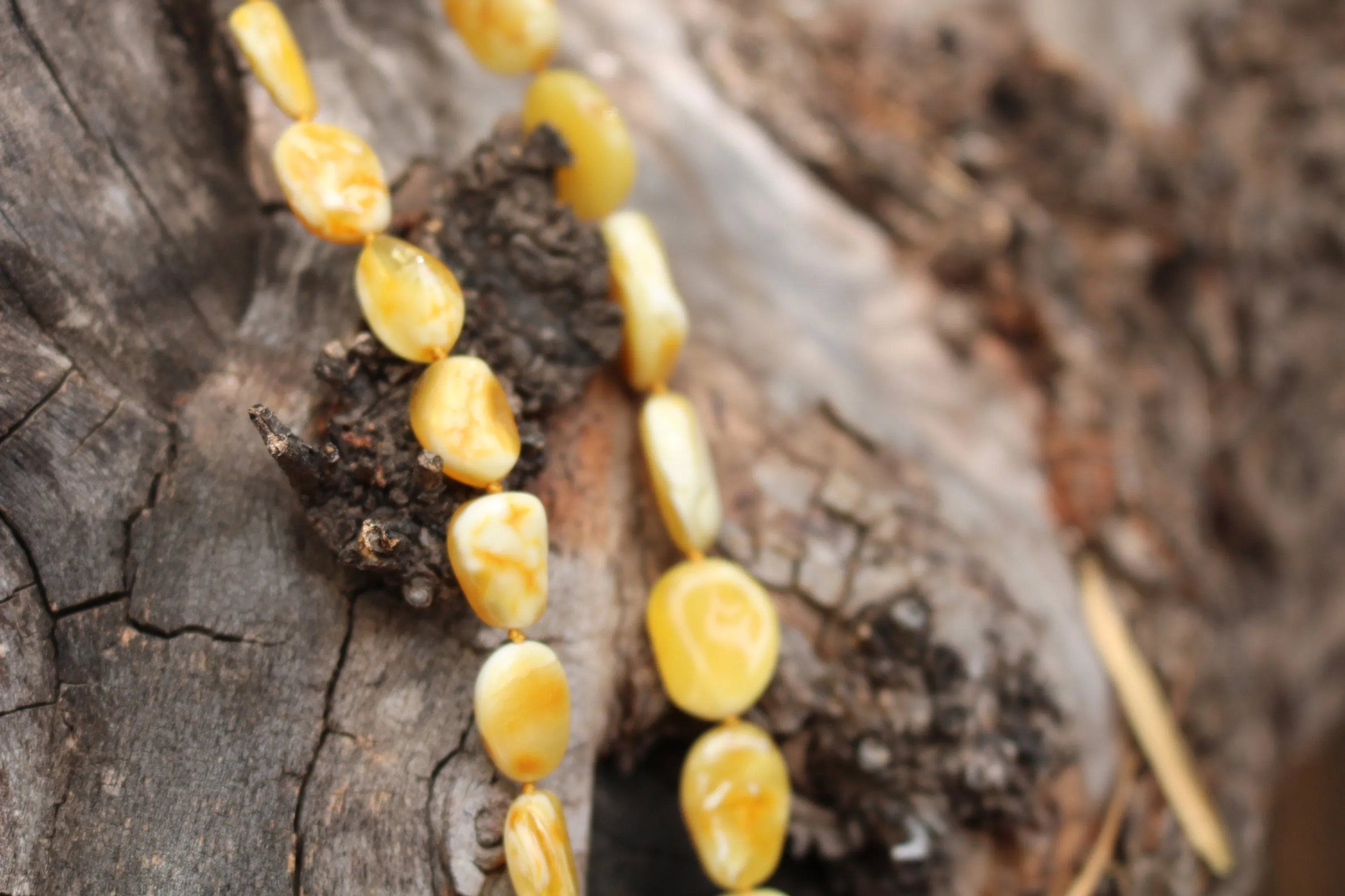 Baltic Amber Necklace Butterscotch Beads Natural Untreated Unisex Jewelry 20.5″ 26.5 gram