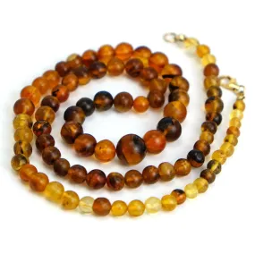 Chin State Root Amber Strand Necklace #3