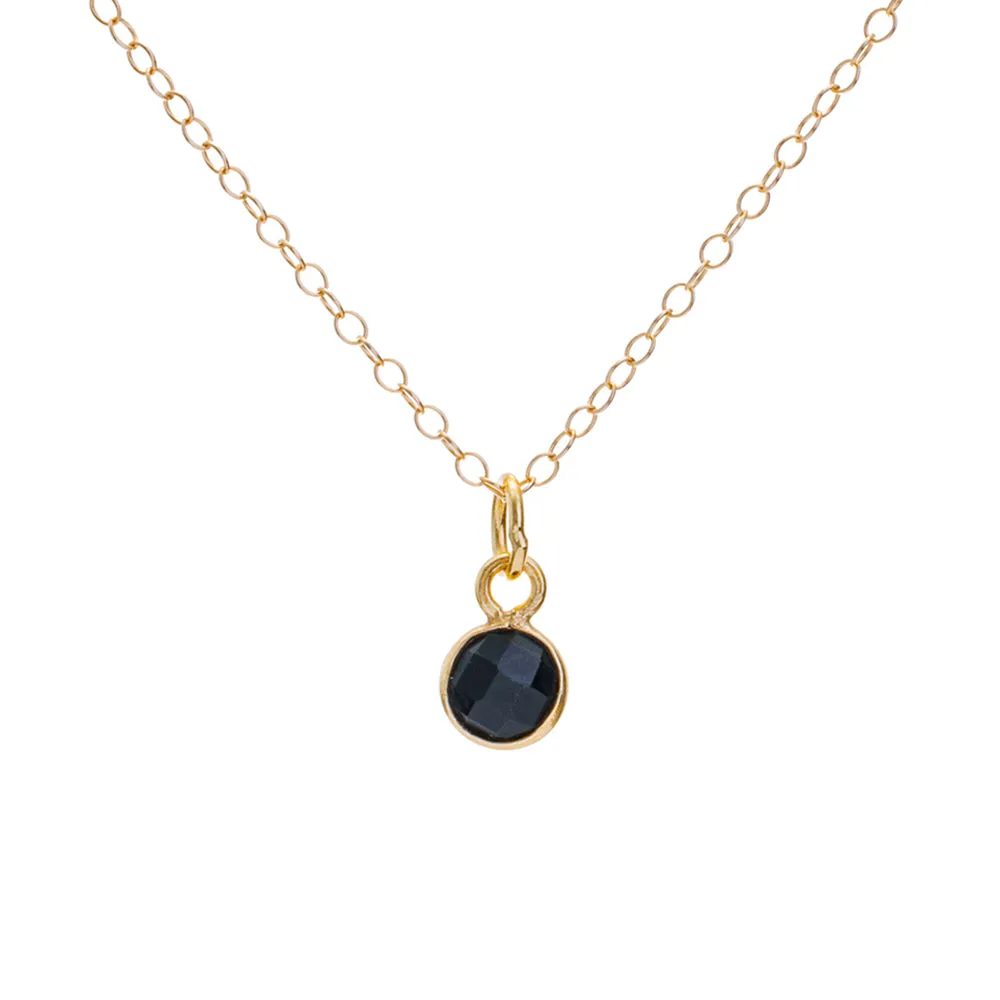 Gold Onyx December Birthstone Necklace