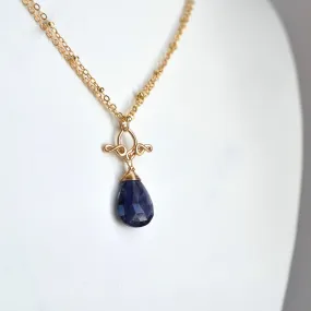 Petite Pamela - Iolite, 14k Gold Filled Necklace