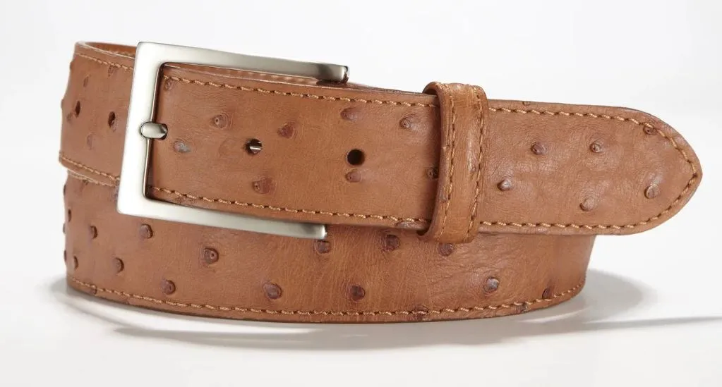 Republic - Full Quill Ostrich Belt