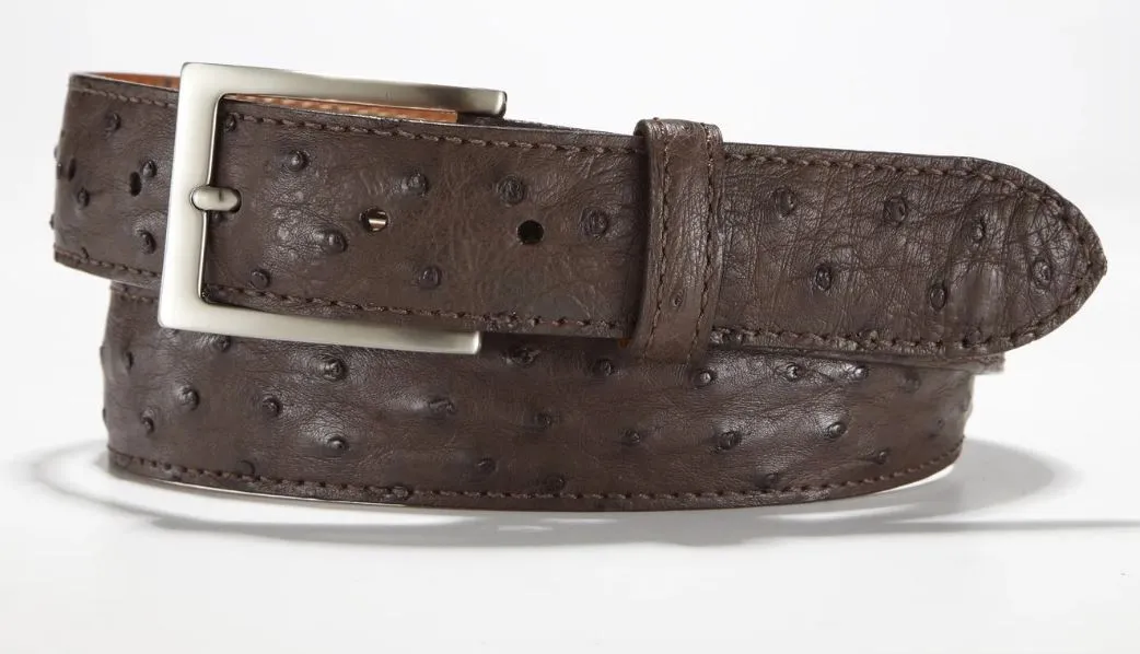 Republic - Full Quill Ostrich Belt